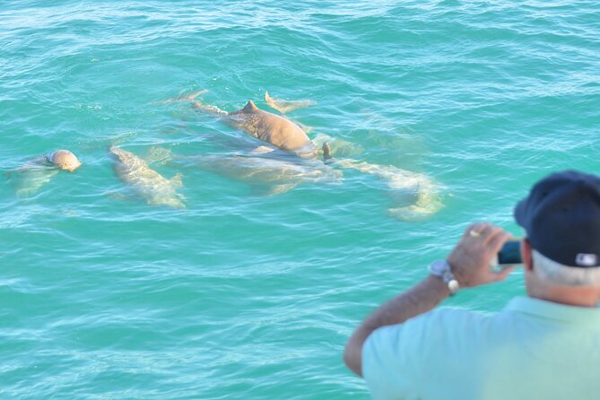 Snubfin Dolphin Eco Cruise from Broome - Snacks, refreshments, and the surprisingly good food