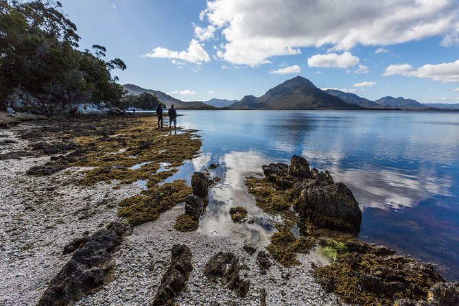 Southwest Tasmania Wilderness Experience: Fly Cruise and Walk Including Lunch - The return flight completes the picture