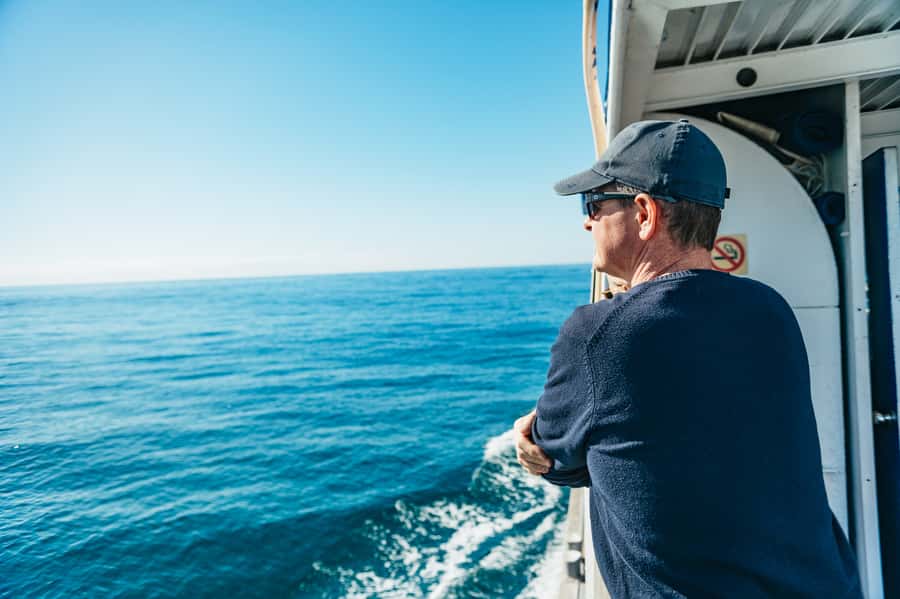 Spirit of Gold Coast 2.5-Hour Whale Watching Tour - From Broadwater Cafe to open water