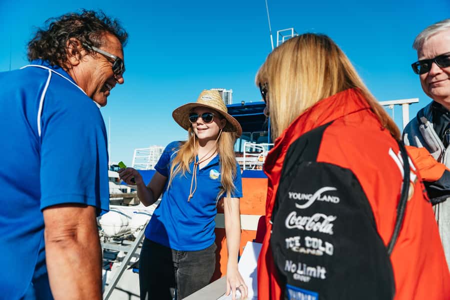 Spirit of Gold Coast 2.5-Hour Whale Watching Tour - The whale-watching section: patience pays off