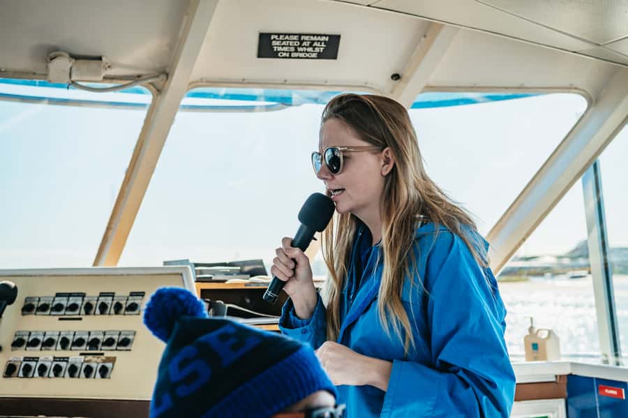 Spirit of Gold Coast 2.5-Hour Whale Watching Tour - How reliable are the sightings?