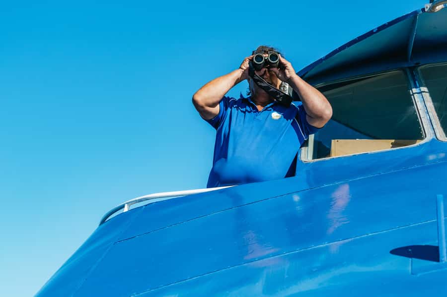 Spirit of Gold Coast 2.5-Hour Whale Watching Tour - Practical ways to enjoy the cruise