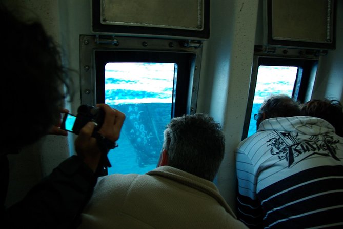 Spirit of Hervey Bay Whale Watching Cruise - The boat’s unusual viewing options