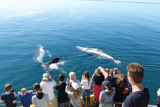 Spirit of Hervey Bay Whale Watching Cruise - Who will enjoy this cruise most