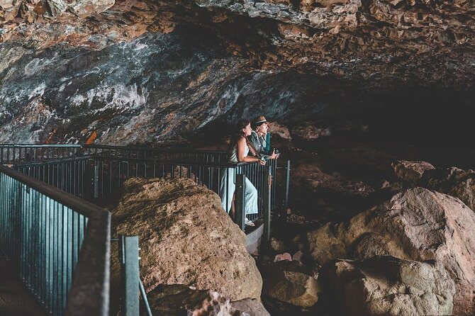 Springbrook andTamborine Rainforest Tour Incl Natural Bridge and Glow Worm Cave - Hinze Dam and the chance of wildlife