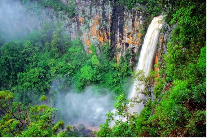 Springbrook Waterfalls & Natural Bridge Tour from Gold Coast - Key points at a glance