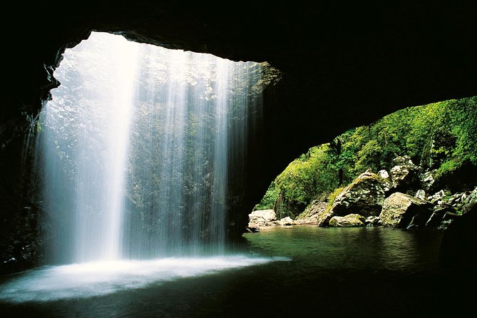 Springbrook Waterfalls & Natural Bridge Tour from Gold Coast - Leaving Surfers Paradise for Springbrook