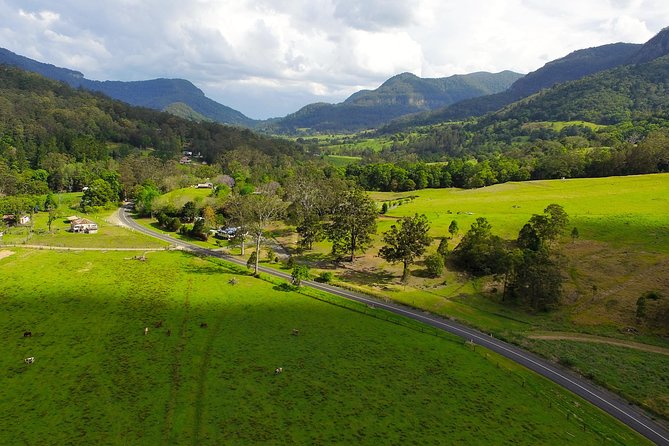 Springbrook Waterfalls & Natural Bridge Tour from Gold Coast - Natural Bridge is the heart of the morning