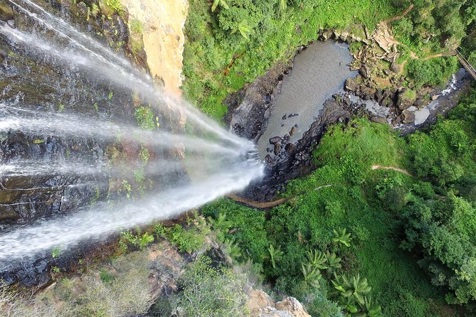 Springbrook Waterfalls & Natural Bridge Tour from Gold Coast - Wildlife, geology, and the value of a good guide