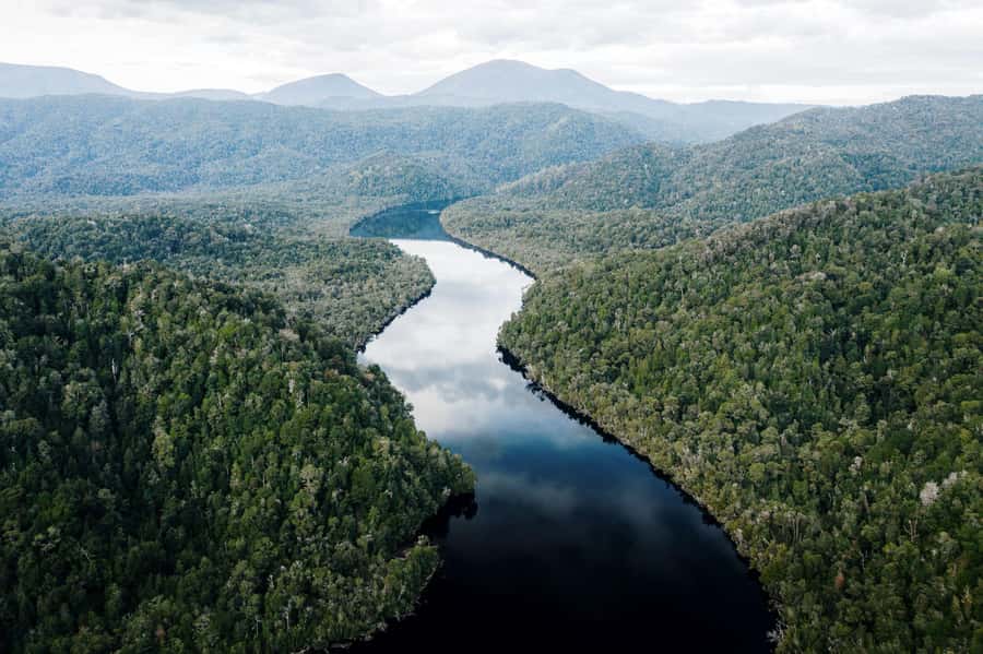 Strahan: World Heritage Cruise on Gordon River with Lunch - Is $109 good value?