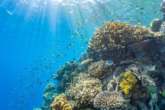Sunlover Reef Cruises Cairns Great Barrier Reef Experience - Optional scuba and helicopter upgrades