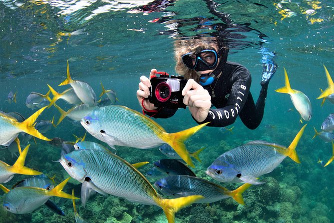 Sunlover Reef Cruises Cairns Great Barrier Reef Experience - Snorkeling from the platform