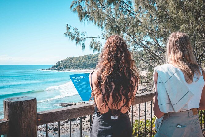 Sunshine Coast Hinterland and Noosa Day Trip from Brisbane Incl Eumundi Markets - Is $121.21 good value?