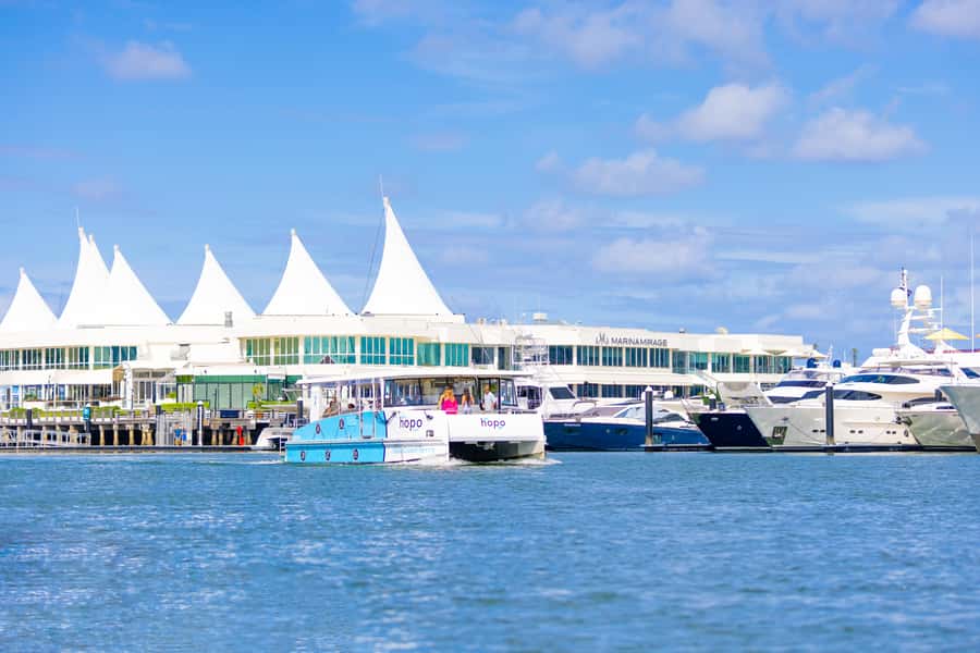 Surfers Paradise: 2-Hour Gold Coast Sightseeing Cruise - Wildlife spotting without unrealistic promises