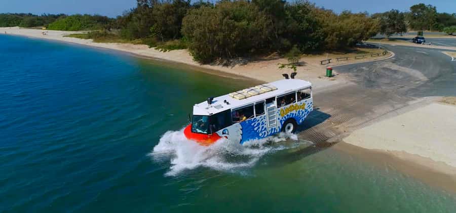Surfers Paradise: Guided Gold Coast Amphibious Bus Tour - Why this short Gold Coast tour works