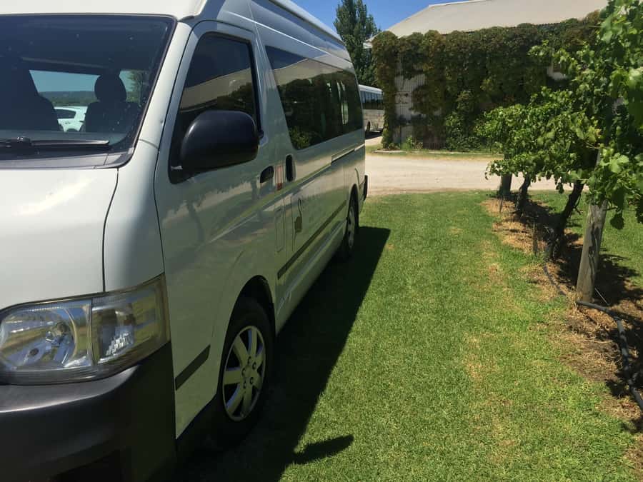 Swan Valley: Full-Day Wine Tour with Lunch - Is $105 good value?