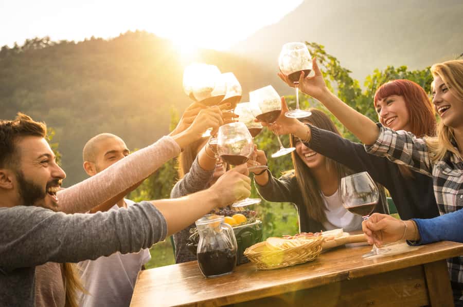Swan Valley Full-Day Winery Experience with Lunch from Perth - Key points worth knowing