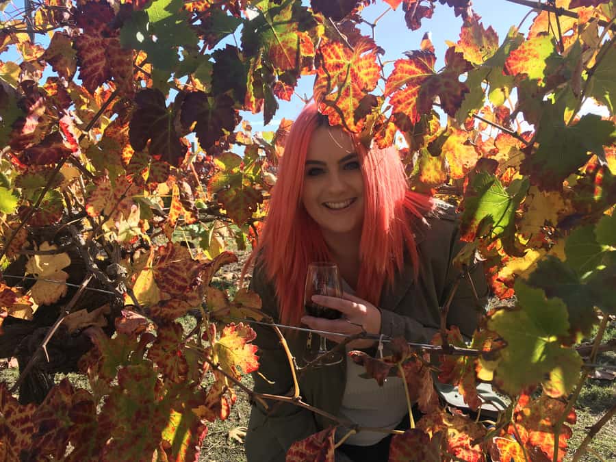 Swan Valley Full-Day Winery Experience with Lunch from Perth - The winery lunch and the one timing concern