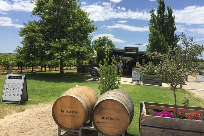 Swan Valley Wine Tour - Full Day - The cheeseboard is more than a small snack