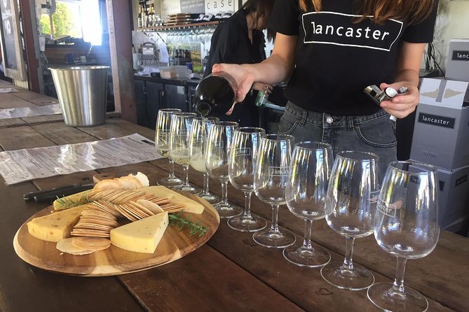 Swan Valley Wine Tour - Half Day Afternoon - The guides make or break the afternoon