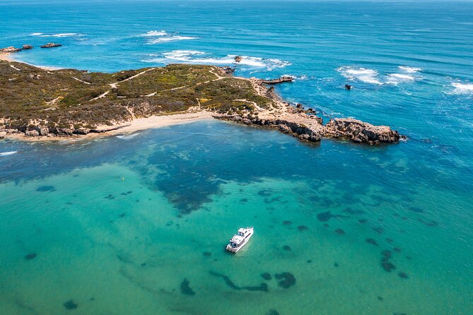 Swim with Wild Dolphins Day Tour - Finding the pod and entering the water