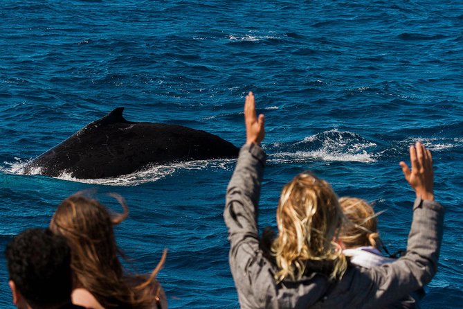 Swimming with the Whale Sharks - Ningaloo Reef (Exmouth) - Meals, drinks, and the little comforts
