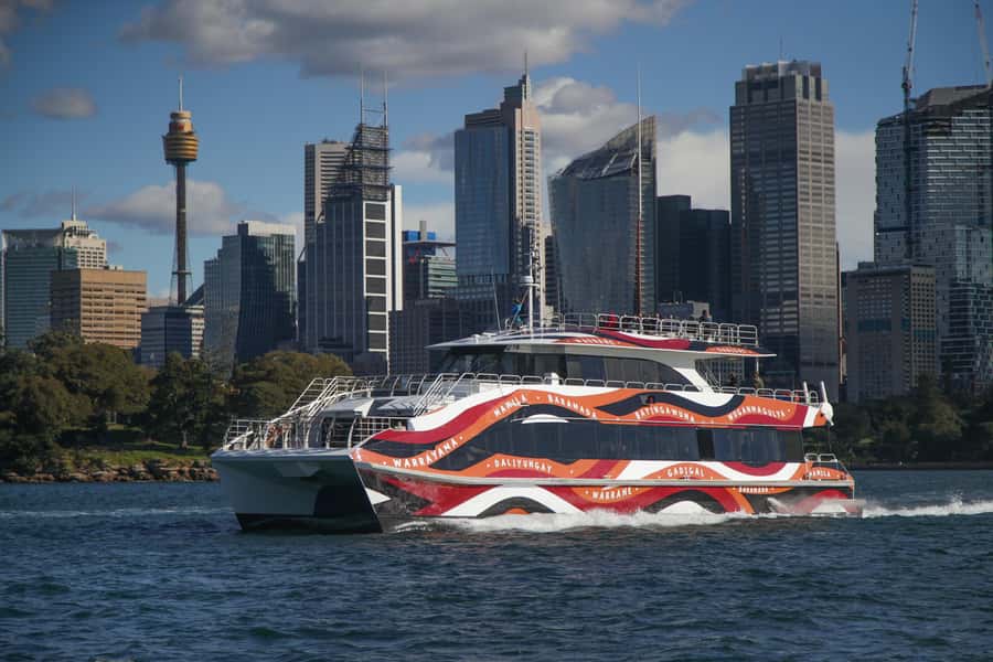 Sydney: 2-hour Express Whale Watching Cruise - What you might see besides whales