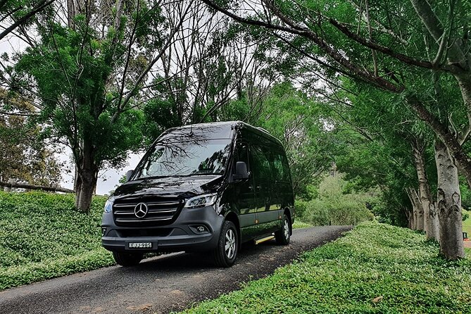 Sydney Airport Private Car Arrival Transfer - Who should choose this Sydney transfer?