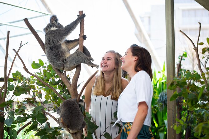 Sydney Attractions Pass: SEA LIFE Aquarium, Sydney Tower Eye, WILD LIFE Zoo and Madame Tussauds - SEA LIFE Sydney Aquarium: the strongest animal stop