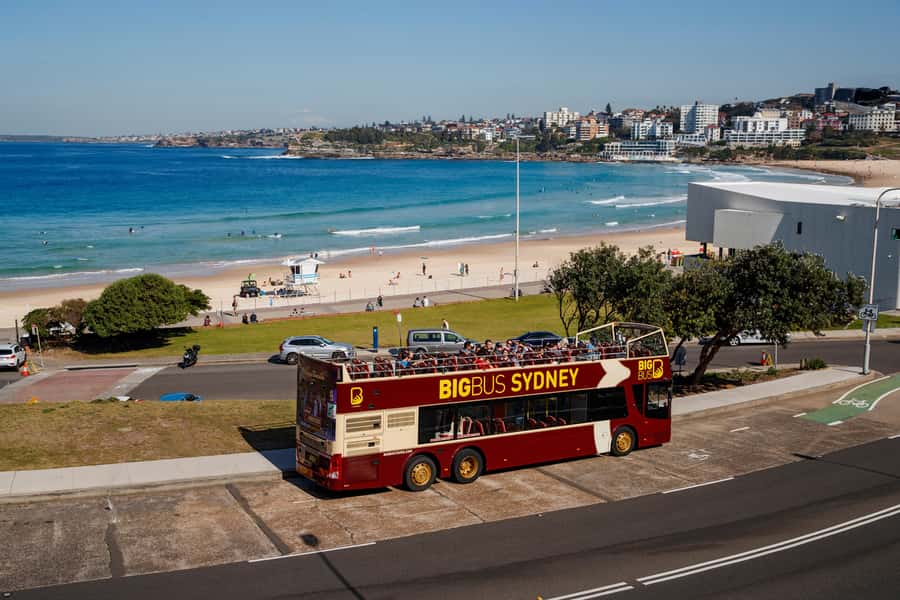 Sydney: Big Bus Hop-On Hop-Off Tour with Optional Cruise - Key points to know before you book