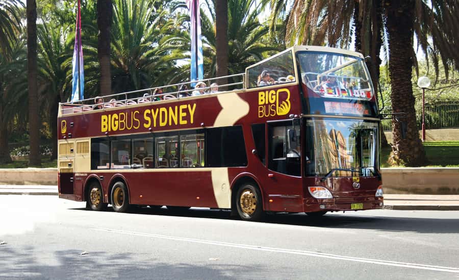 Sydney: Big Bus Hop-On Hop-Off Tour with Optional Cruise - The Captain Cook harbour cruise adds the views buses cannot