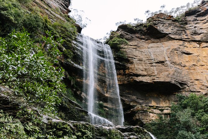 Sydney Blue Mountains Day Tour with Wildlife Park and Waterfalls - Six things to know before you book
