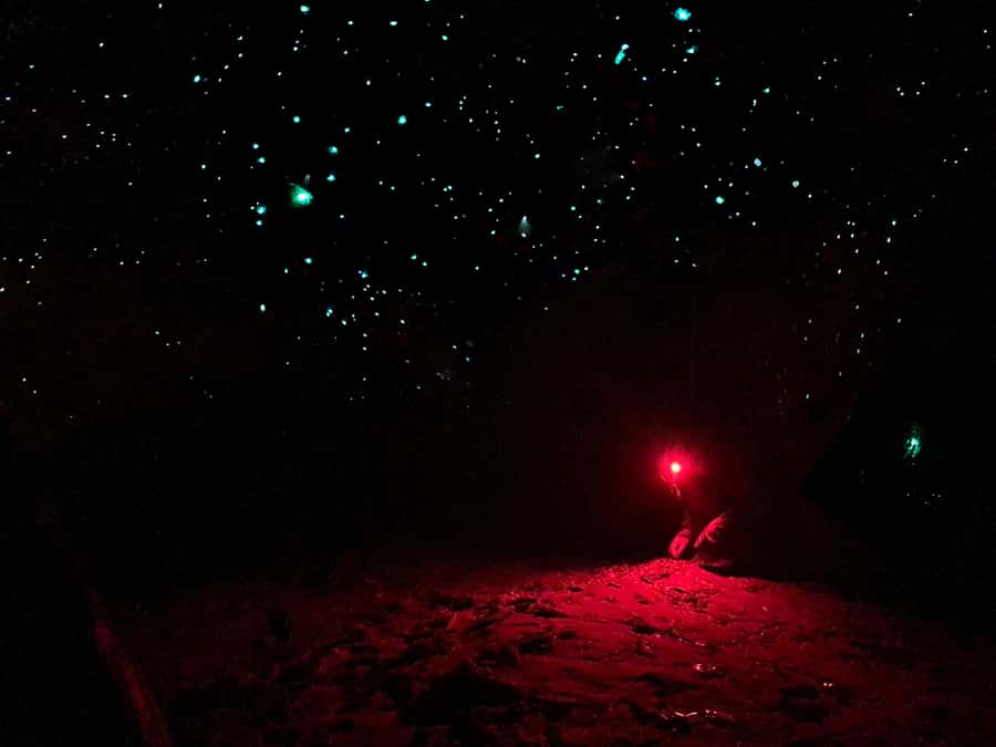 Sydney: Blue Mountains Glow Worms Wild Adventure by Night - The cave behind the waterfall