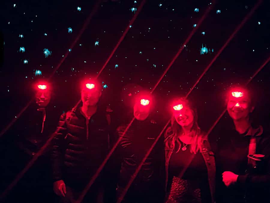 Sydney: Blue Mountains Glow Worms Wild Adventure by Night - The guide makes the difference