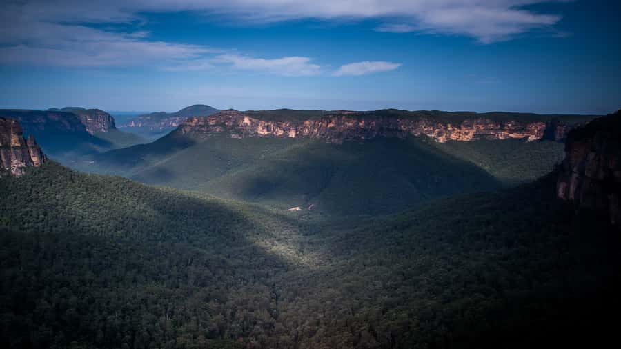 Sydney: Blue Mountains Late Start: Walks, Wildlife & Dinner - Calmsley Hill City Farm: koalas and Australian animals