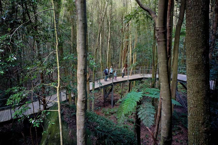 Sydney: Blue Mountains National Park Tour with River Cruise - Wentworth Falls and the bushwalk