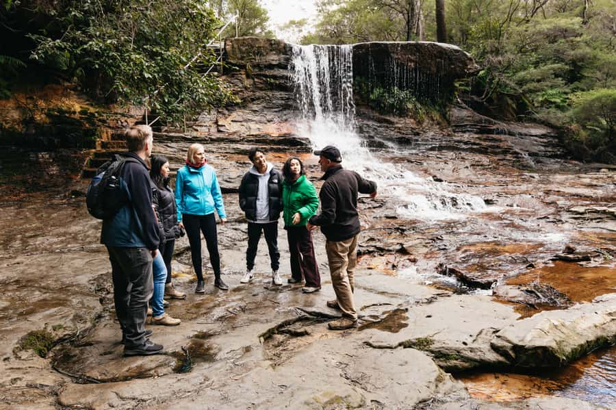 Sydney: Blue Mountains Wildlife & Bushwalk Small-Group Tour - How the small group affects the day