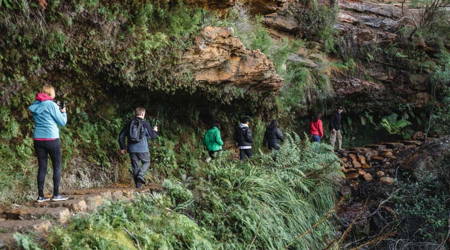 Sydney: Blue Mountains Wildlife & Bushwalk Small-Group Tour - Sydney pickup is simple, but start early
