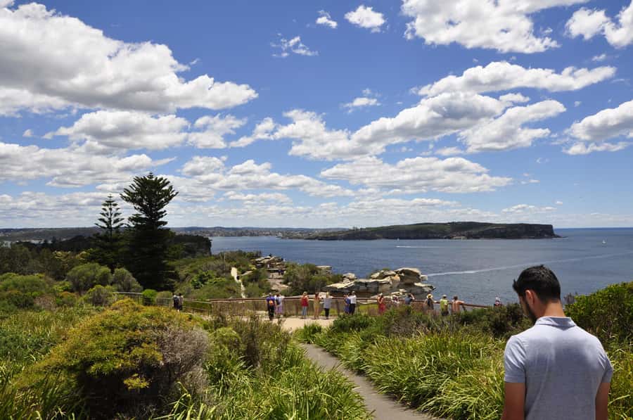 Sydney: City Highlights Guided Bus Tour - The guide can make or break the experience