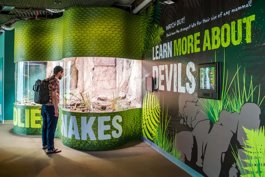 Sydney: Combo Pass for 2, 3, or 4 Top City Attractions - Key points to know before you book