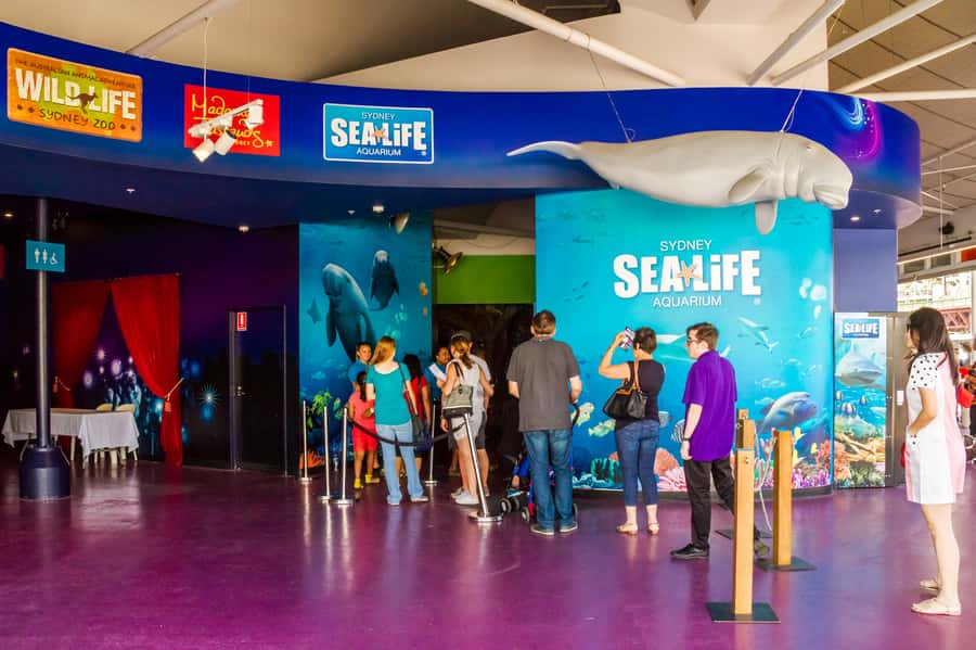 Sydney: Combo Pass for 2, 3, or 4 Top City Attractions - Who will enjoy this pass most?