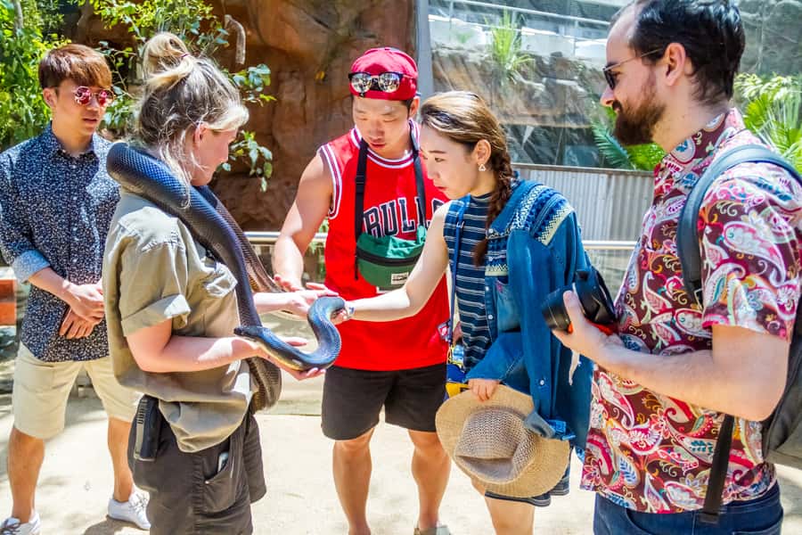 Sydney: Combo Pass for 2, 3, or 4 Top City Attractions - What this Sydney attraction pass actually includes