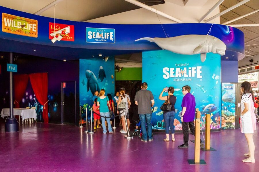 Sydney: Combo Pass for 2, 3, or 4 Top City Attractions - How to plan two, three, or four attractions