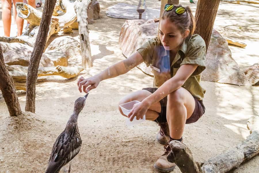 Sydney: Combo Pass for 2, 3, or 4 Top City Attractions - Why the Darling Harbour location helps