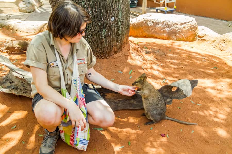 Sydney: Combo Pass for 2, 3, or 4 Top City Attractions - Is $38 per person good value?