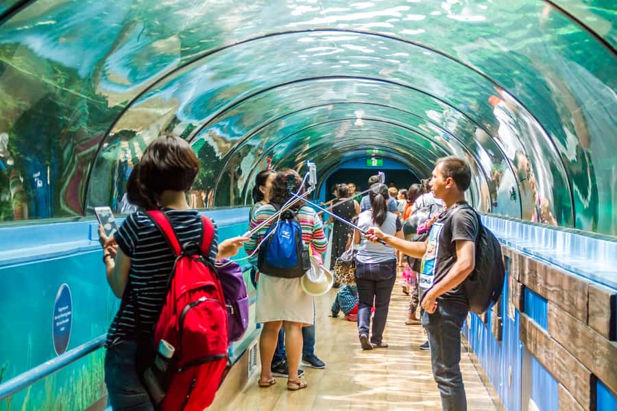 Sydney: Combo Pass for 2, 3, or 4 Top City Attractions - Start at SEA LIFE Sydney beside Darling Harbour