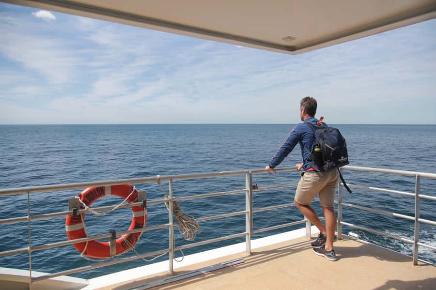 Sydney: Discovery Whale Watching Tour by Catamaran - The onboard photographer and your own camera