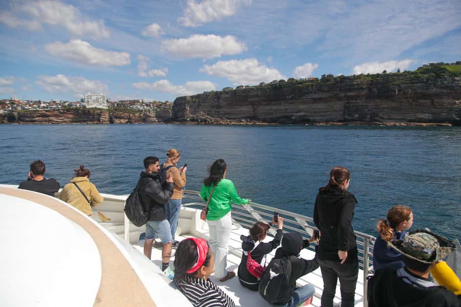 Sydney: Discovery Whale Watching Tour by Catamaran - Who will enjoy this catamaran most?