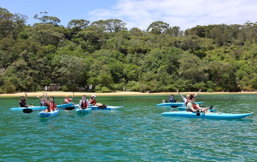 Sydney: Guided Kayak Tour of Manly Cove Beaches - Why this Manly paddle is worth your morning