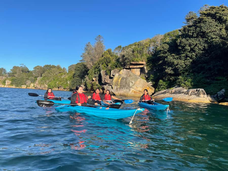 Sydney: Guided Kayak Tour of Manly Cove Beaches - Paddling through Manly Cove